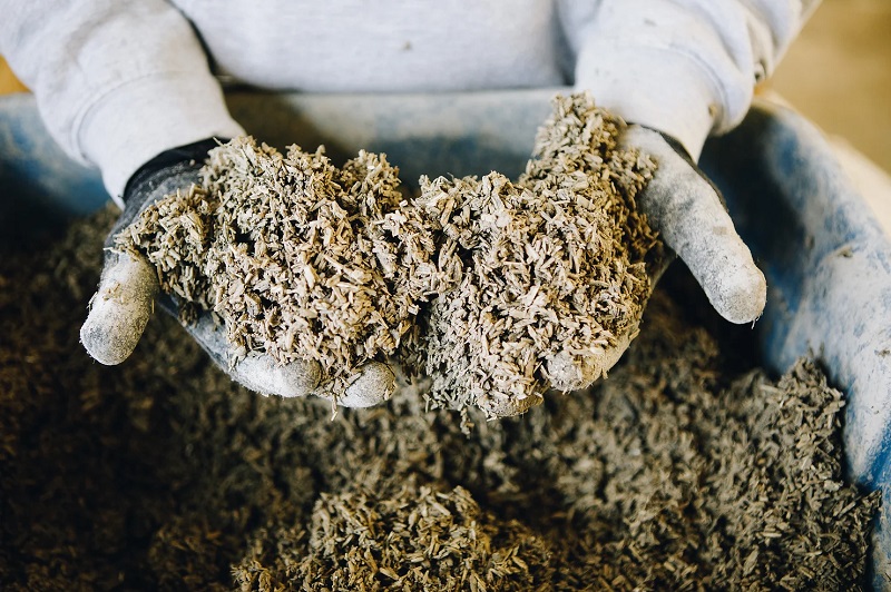 The Growing Role of Hemp in Eco-Friendly Building Materials